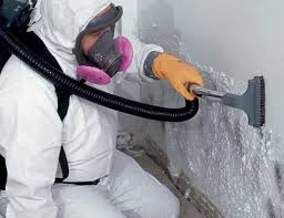 Why You Should Choose Our Mold Remediation Services in Coshocton, OH